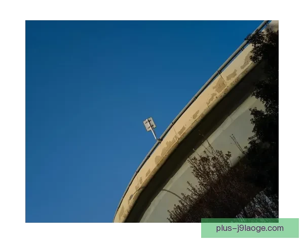 镰田大地加盟水晶宫后遭遇水土不服表现不佳引发外界关注