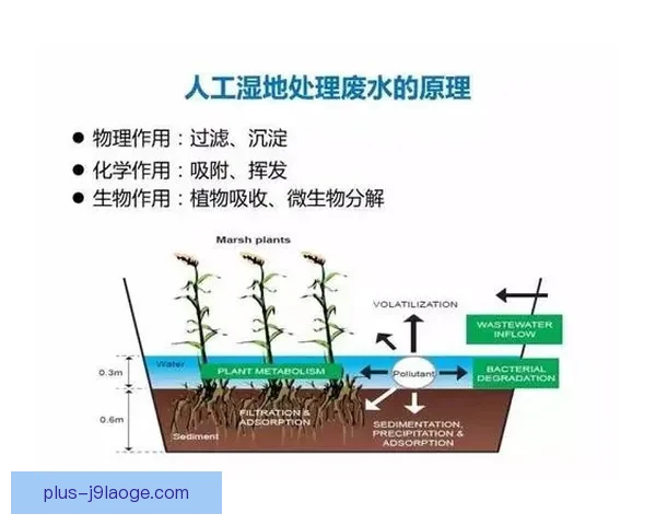 快速获取世界杯预选赛最新战况的全面指南与数据更新渠道解析 快速获取世界杯预选赛最新战况的全面指南与数据更新渠道解析